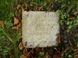 image of grave number 187896